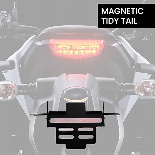 R&G RACING BMW S1000RR / S1000R Tail Tidy (standard indicators R&G RACING BMW S1000RR / S1000R Tail Tidy (standard indicators