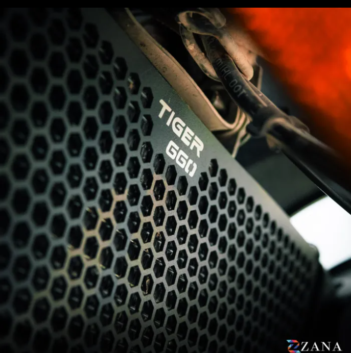 Radiator Guard Honeycomb Black For Triumph Tiger 660