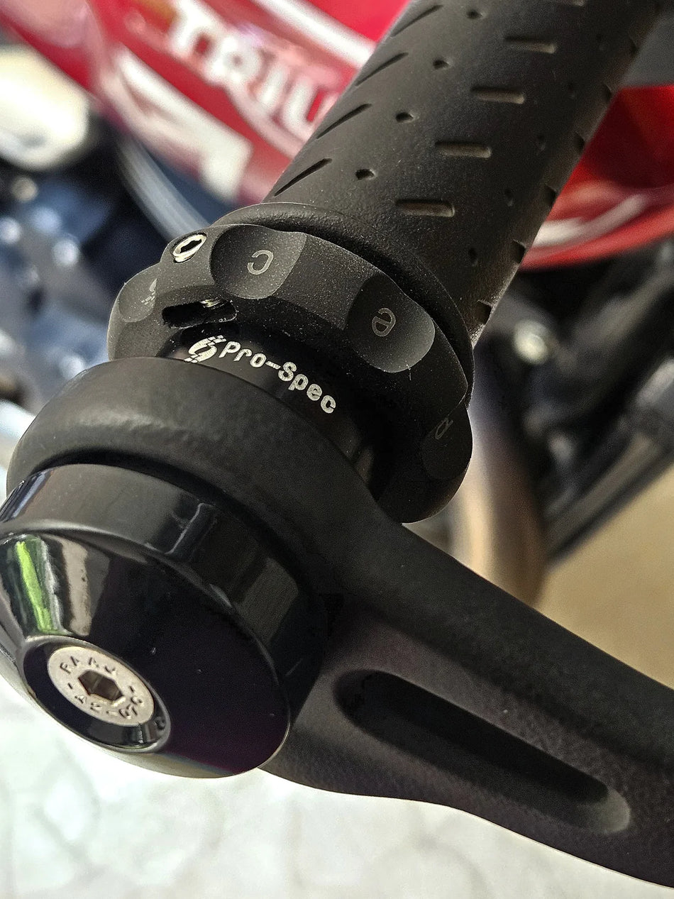 ECZ 029 - Easy Cruz Triumph Speed 400